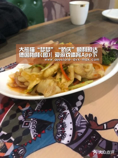 大熊猫“梦梦”“娇庆”顺利抵达德国柏林(图)| 爱游戏体育App下载(图3) 爱游戏体育