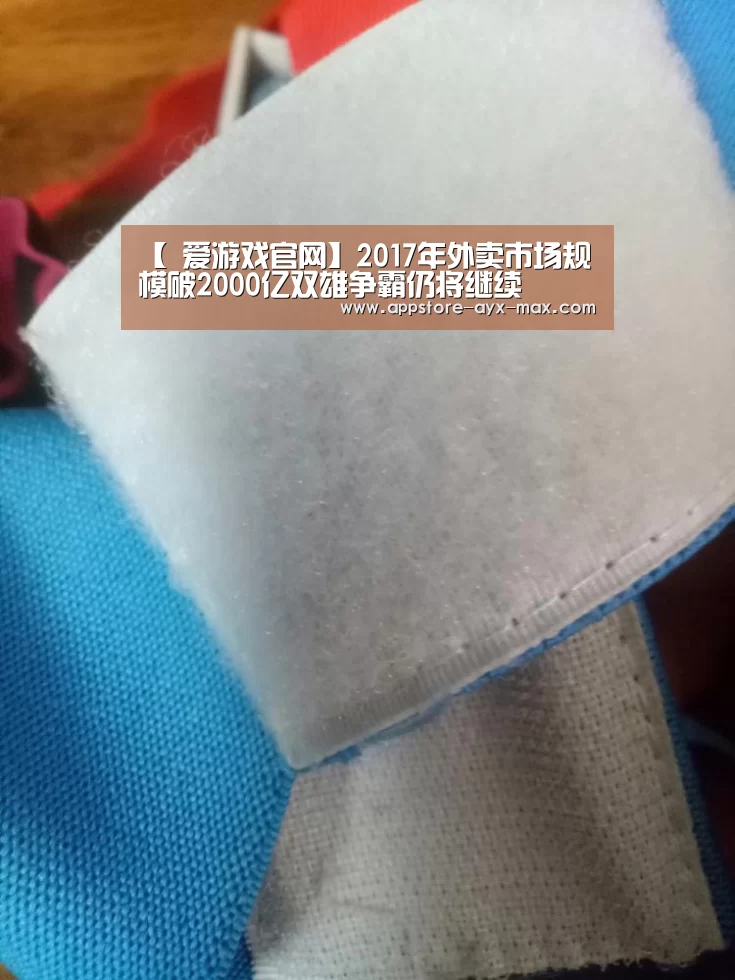 【 爱游戏官网】2017年外卖市场规模破2000亿双雄争霸仍将继续(图2) 爱游戏体育