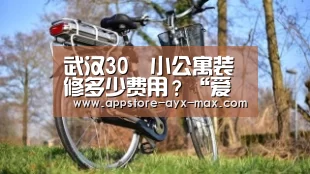 武汉30㎡小公寓装修多少费用?“爱游戏体育”(图4) 爱游戏体育App下载