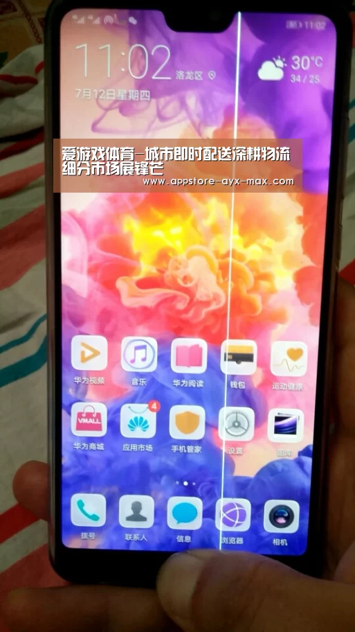 爱游戏体育-城市即时配送深耕物流细分市场展锋芒(图1) 爱游戏体育