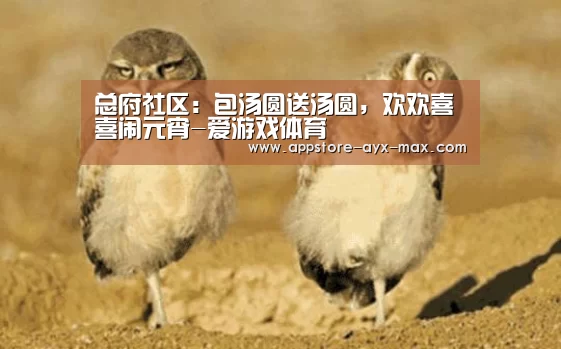 总府社区:包汤圆送汤圆,欢欢喜喜闹元宵-爱游戏体育(图2) 爱游戏体育