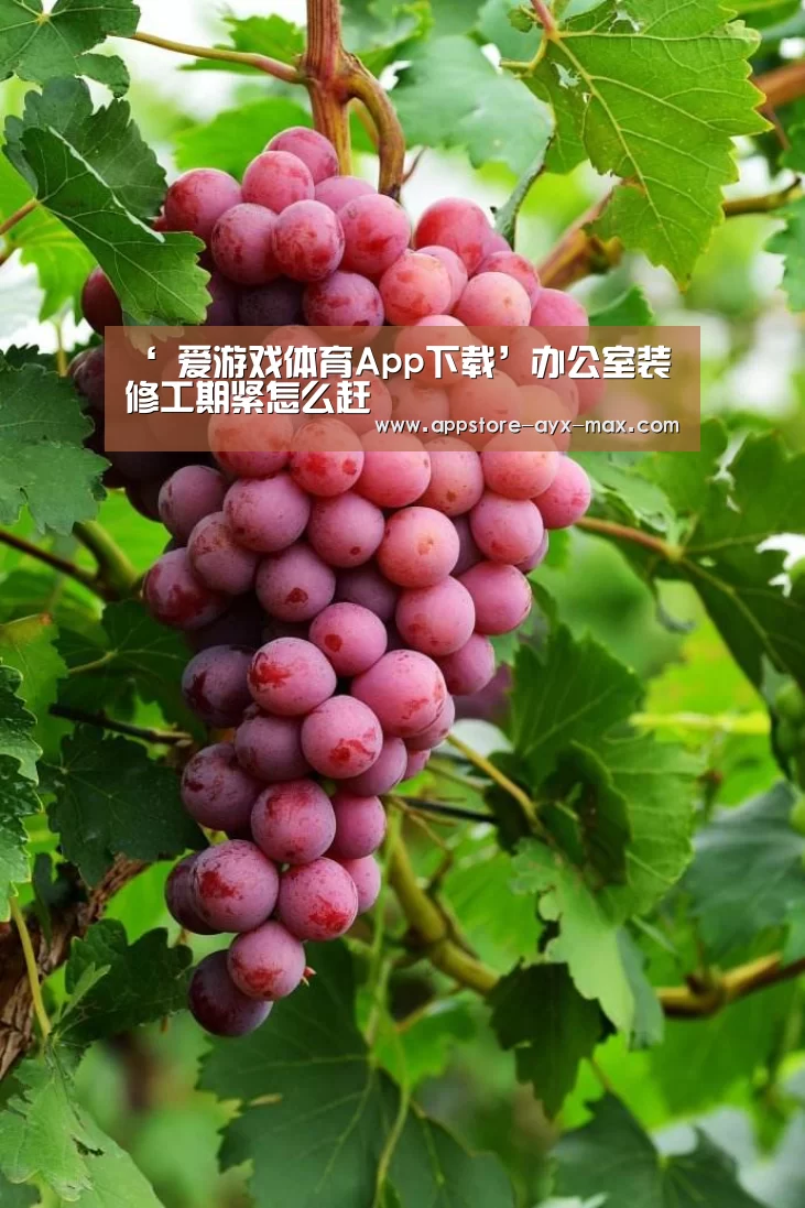  爱游戏体育App下载